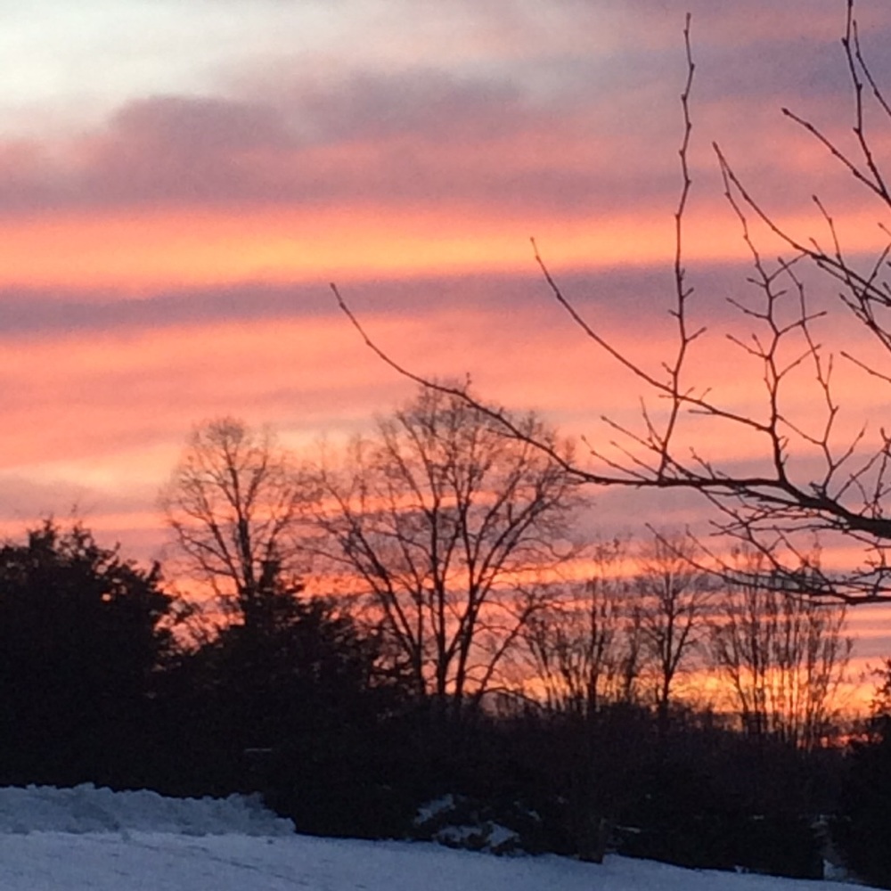 Meet your Posher, Cassandra